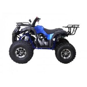 Blue 125cc youth utility ATV with rugged tires, black racks, and off-road design