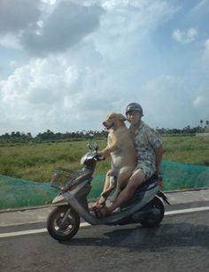 Man with a dog riding a scooter on a rural road under a partly cloudy sky