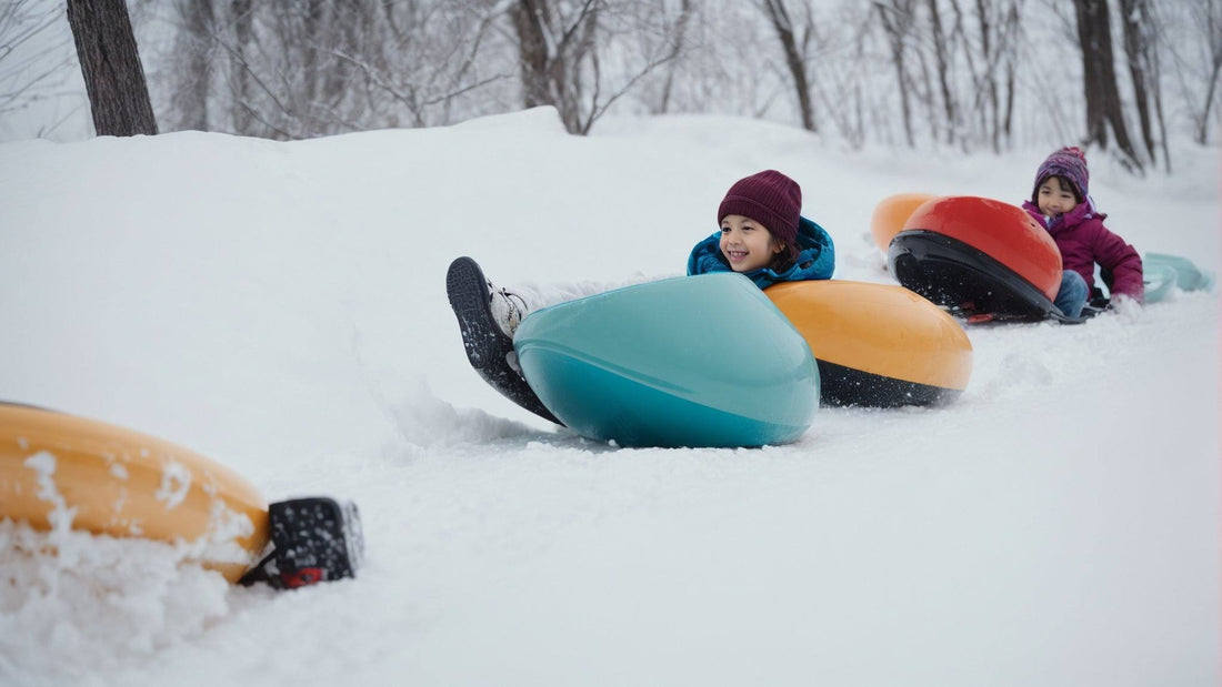 Kids enjoying sledding on colorful sleds in snowy Madison, Wisconsin forest
