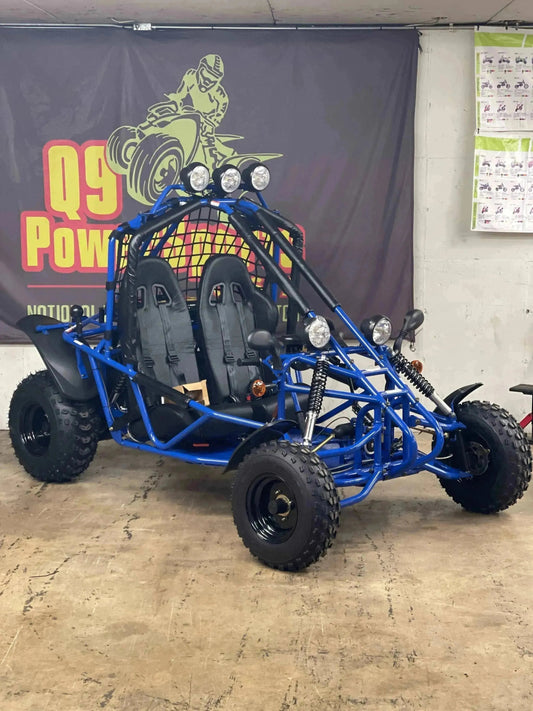 Blue 200cc double seat go-kart with off-road tires and roll cage indoors