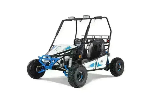 Blue and white 125cc youth go-kart with roll cage, off-road tires, and two seats