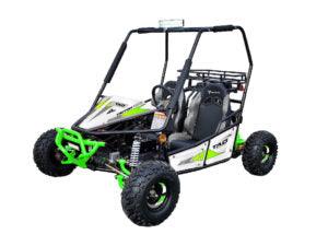 Green and white off-road go-kart with roll cage and rugged tires on white background