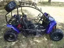 Blue 2-seater 125cc go-kart with roll cage and off-road tires parked on grass