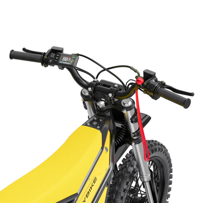 VILLAIN 4160W Electric Dirt Bike