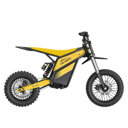 VILLAIN 4160W Electric Dirt Bike