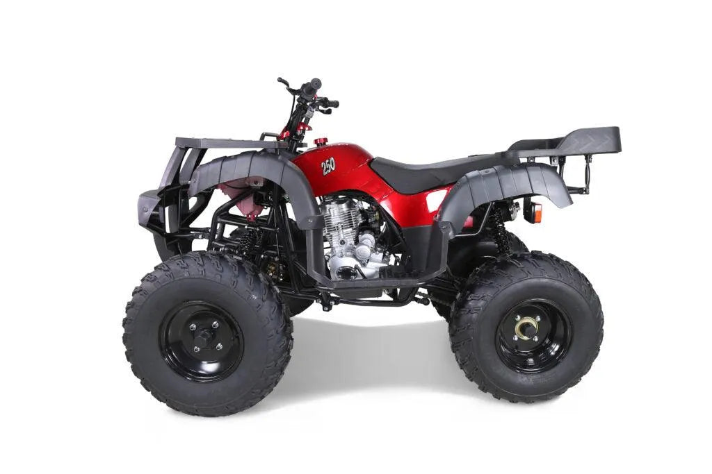 Tao Motor Rhino 250 Utility Four Wheelers for sale with free shipping – Q9  PowerSports USA