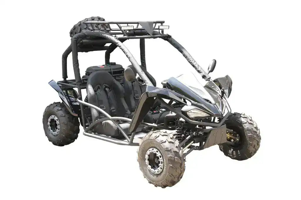 Warrior 125cc 2-Seater Youth Go Kart | Roll. | Free Shipping – Q9