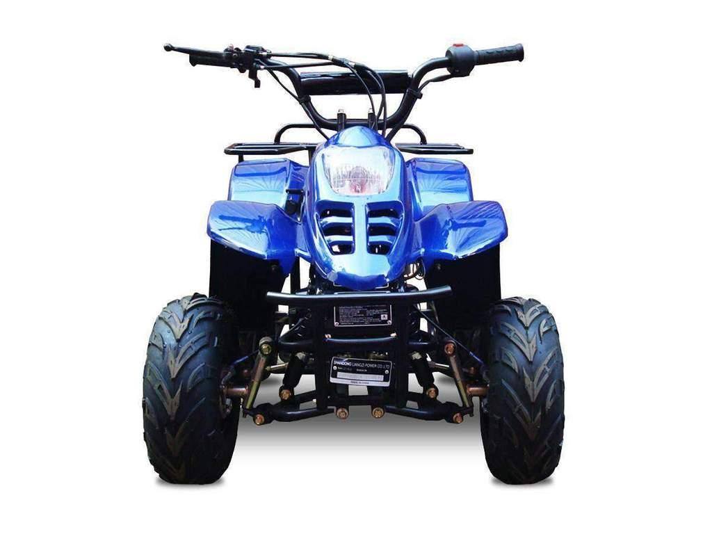 Dyno 110cc Small Kids ATV with Reverse - Q9 PowerSports USA