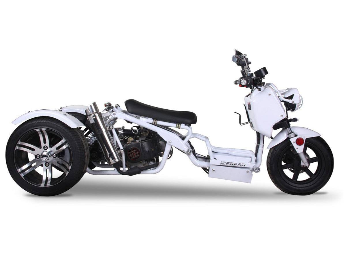 Maddog 50cc Trike Scooter - Q9 PowerSports USA