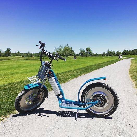 Professional Grade GeeBee Electric Scooter - Q9 PowerSports USA
